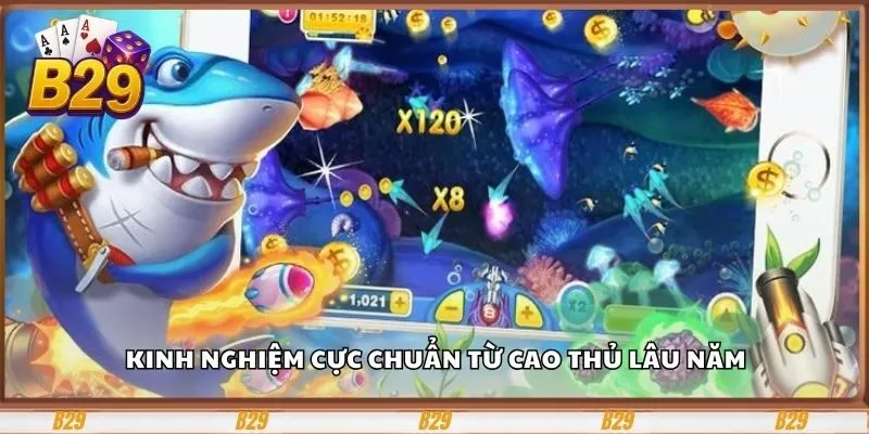 Bắn Cá B29 – Cổng Game Giải Trí Và Đổi Thưởng Hấp Dẫn 4 Kinh nghiệm cực chuẩn từ cao thủ lâu năm